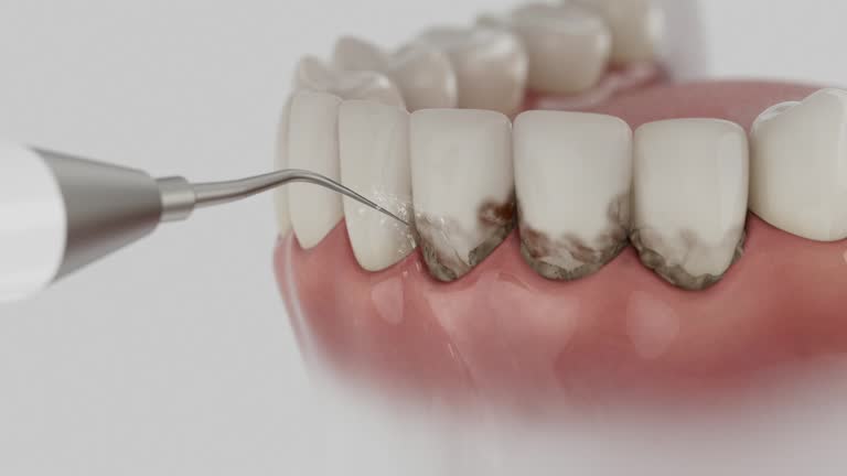 Reliable Dental contractor in Brownfields, LA by Dentist Open Now